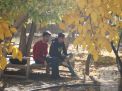 گزارش تصویری اردوی نو دانشجویان 1403